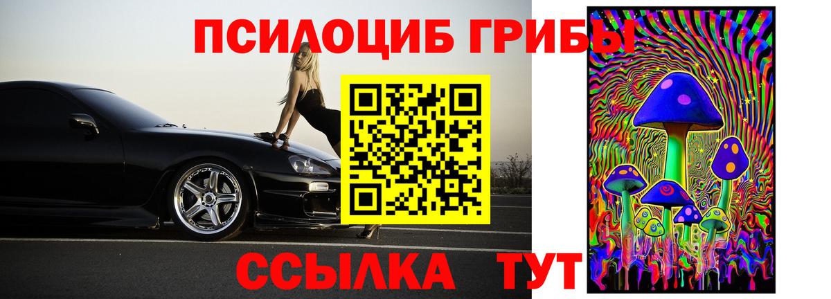Галлюциногенные грибы Psilocybe Сергиев Посад
